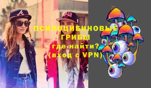 ALPHA-PVP Осташков