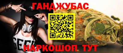 гашик Аргун