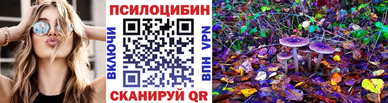 наркошоп Аргун Галлюциногенные грибы Psilocybe