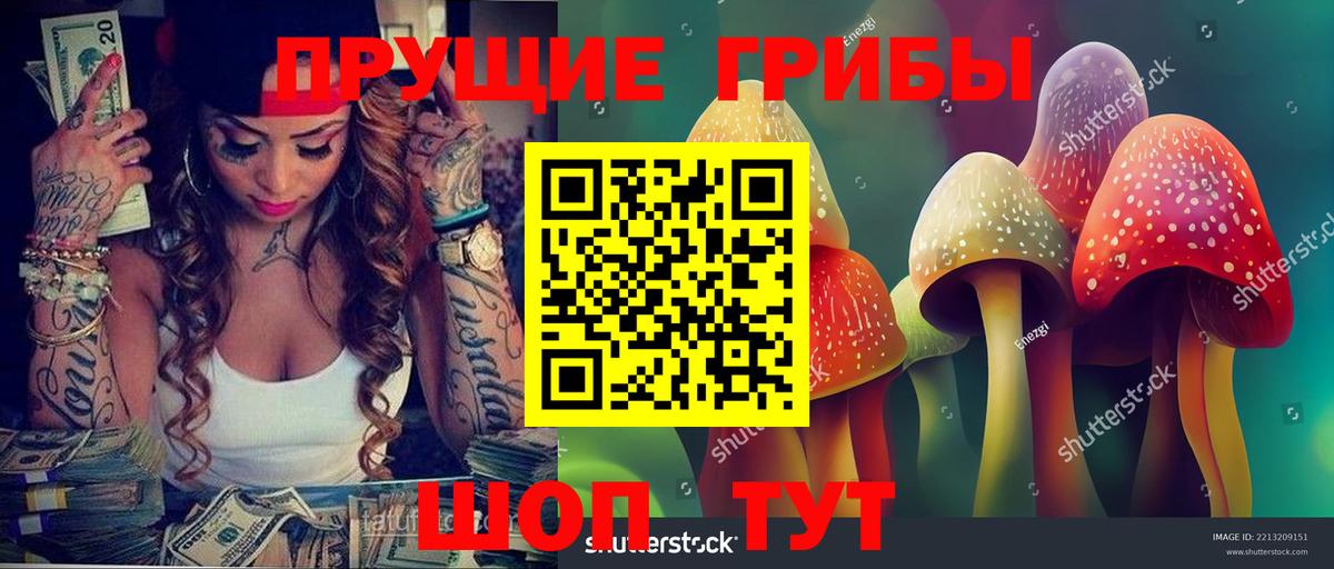 Галлюциногенные грибы Psilocybe  где продают наркотики  Псилоцибиновые грибы ЛСД  Аргун  Вход с VPN 