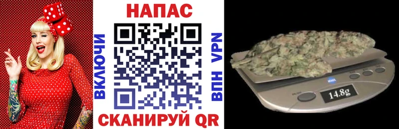 Каннабис семена  Аргун 